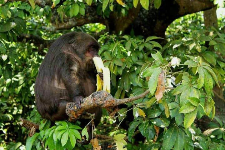 Cabanas Ixaya Catemaco Dış mekan fotoğraf