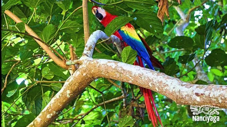 Cabanas Ixaya Catemaco Dış mekan fotoğraf