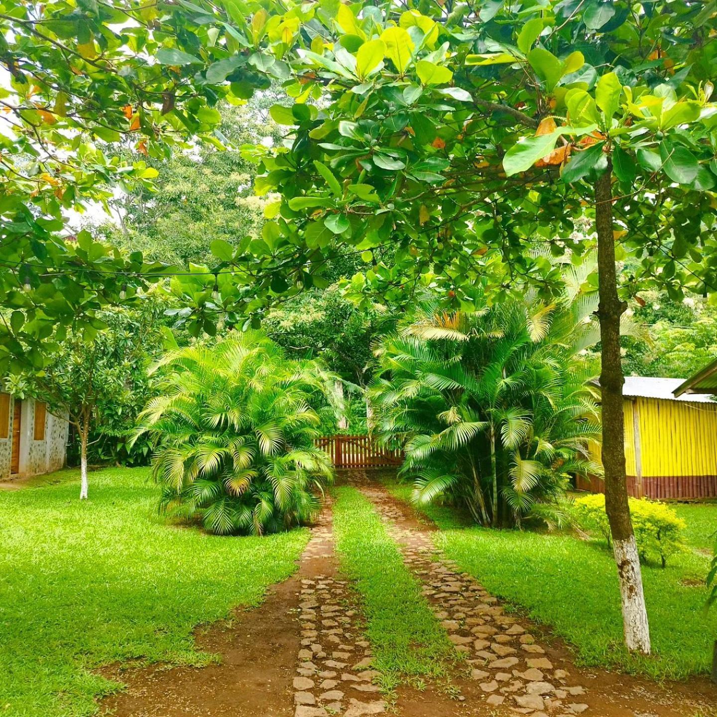 Cabanas Ixaya Catemaco Dış mekan fotoğraf