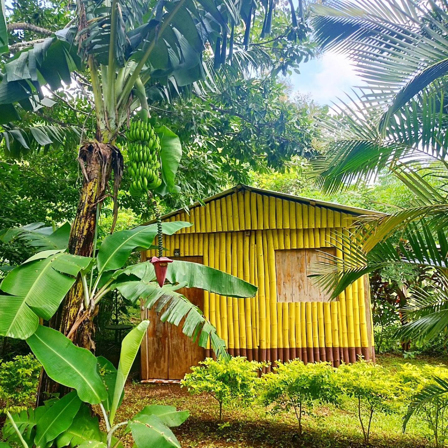 Cabanas Ixaya Catemaco Dış mekan fotoğraf